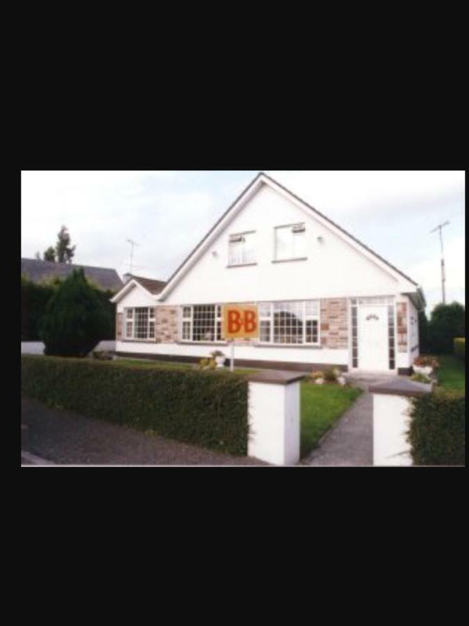 Riverside House Acomodação com café da manhã Roscommon Exterior foto