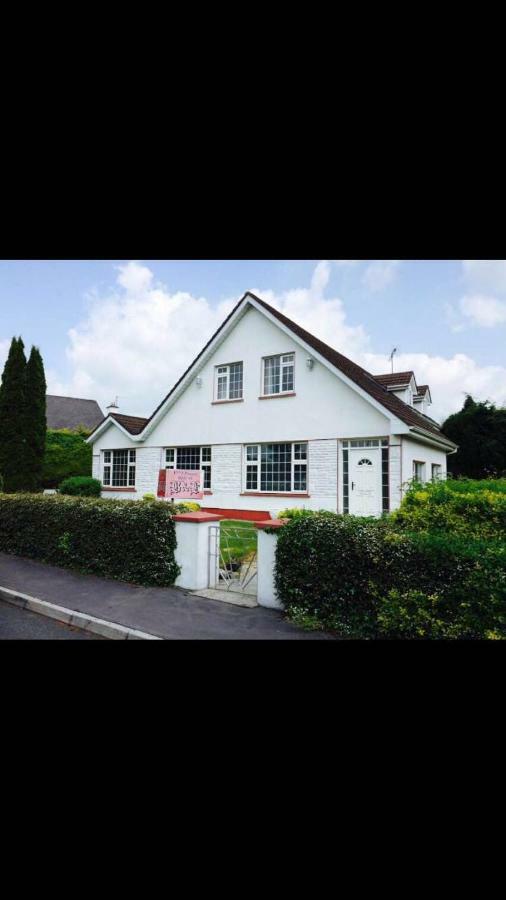 Riverside House Acomodação com café da manhã Roscommon Exterior foto